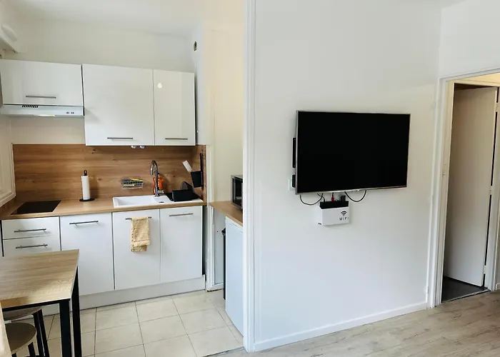 Tres Agreable Studio A Villeurbanne