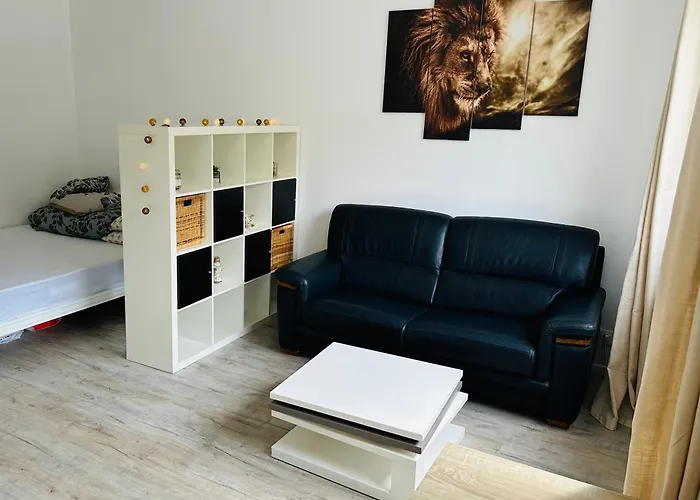 Tres Agreable Studio A Villeurbanne