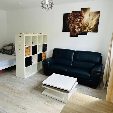 Tres Agreable Studio A Villeurbanne Exterior photo